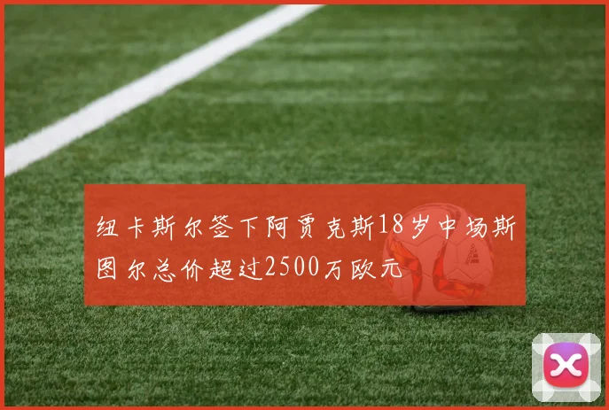 纽卡斯尔签下阿贾克斯18岁中场斯图尔总价超过2500万欧元