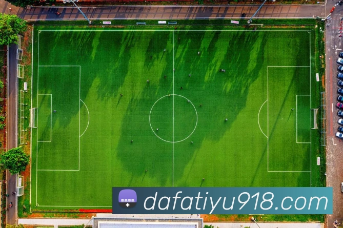 大发体育平台生态图