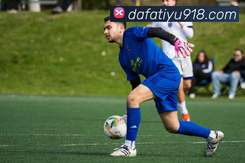 大发体育全站App